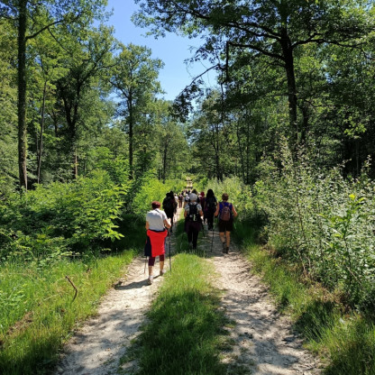 Album photos - Sur le chemin des artistes
